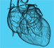 Atrial Signals 2017