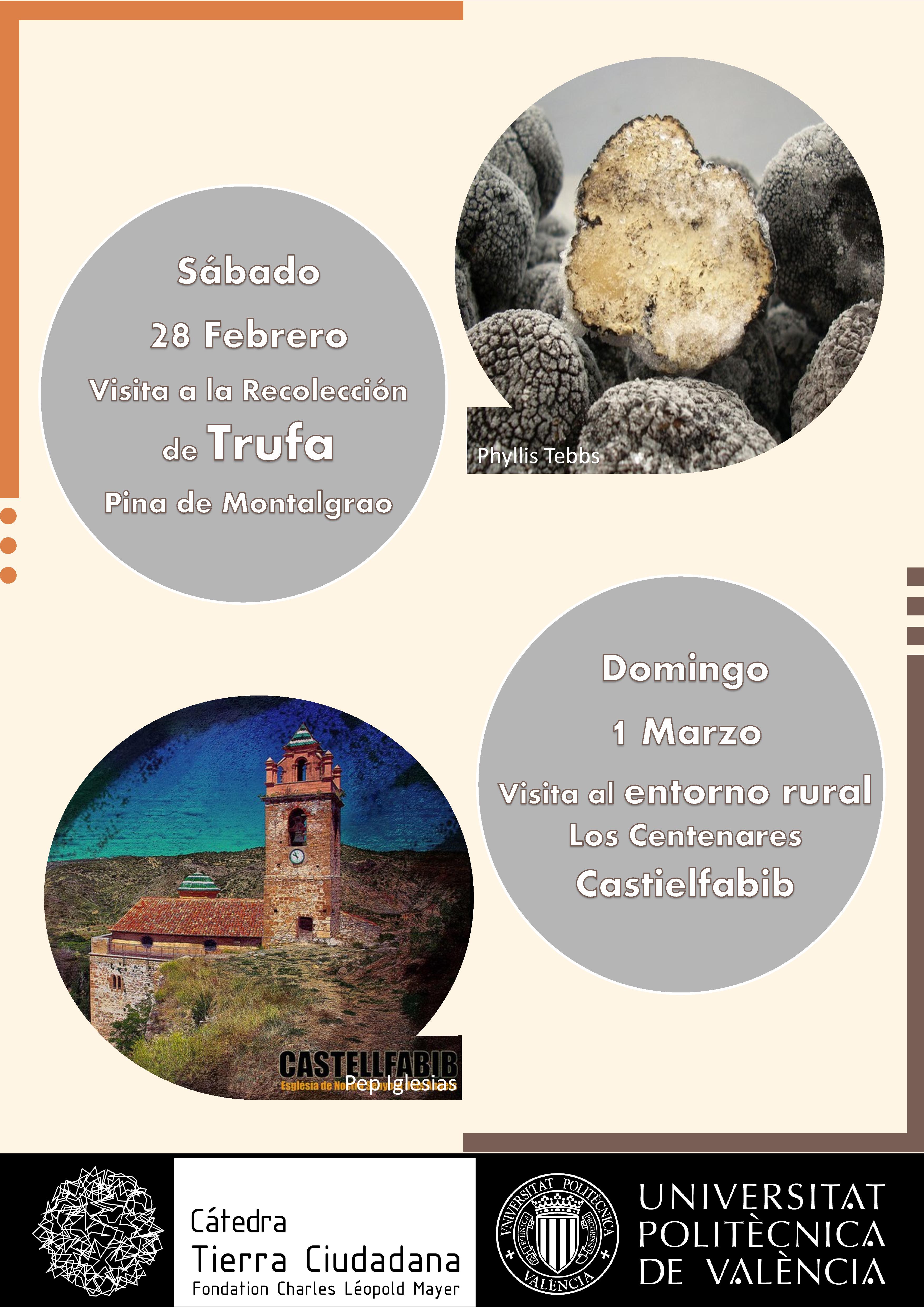 VISITAS A LA TRUFA Y CASTIELFABIB 2015