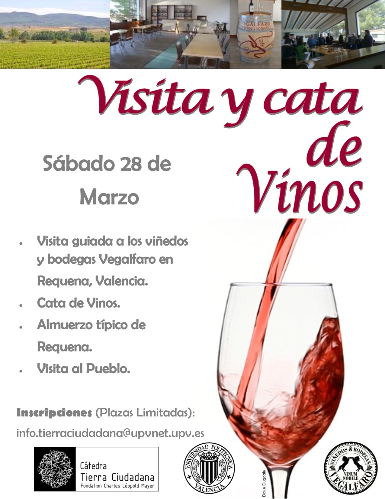 Visita a los viedos y bodegas VEGALFARO en Requena