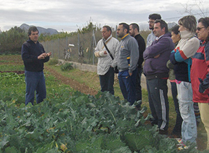 Iniciación al diseño y manejo de sistemas agrícolas ecológicos