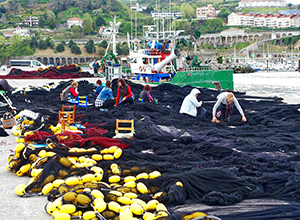 Gandia acoge la I Jornada ‘Las mujeres del sector pesquero en el Mediterráneo’