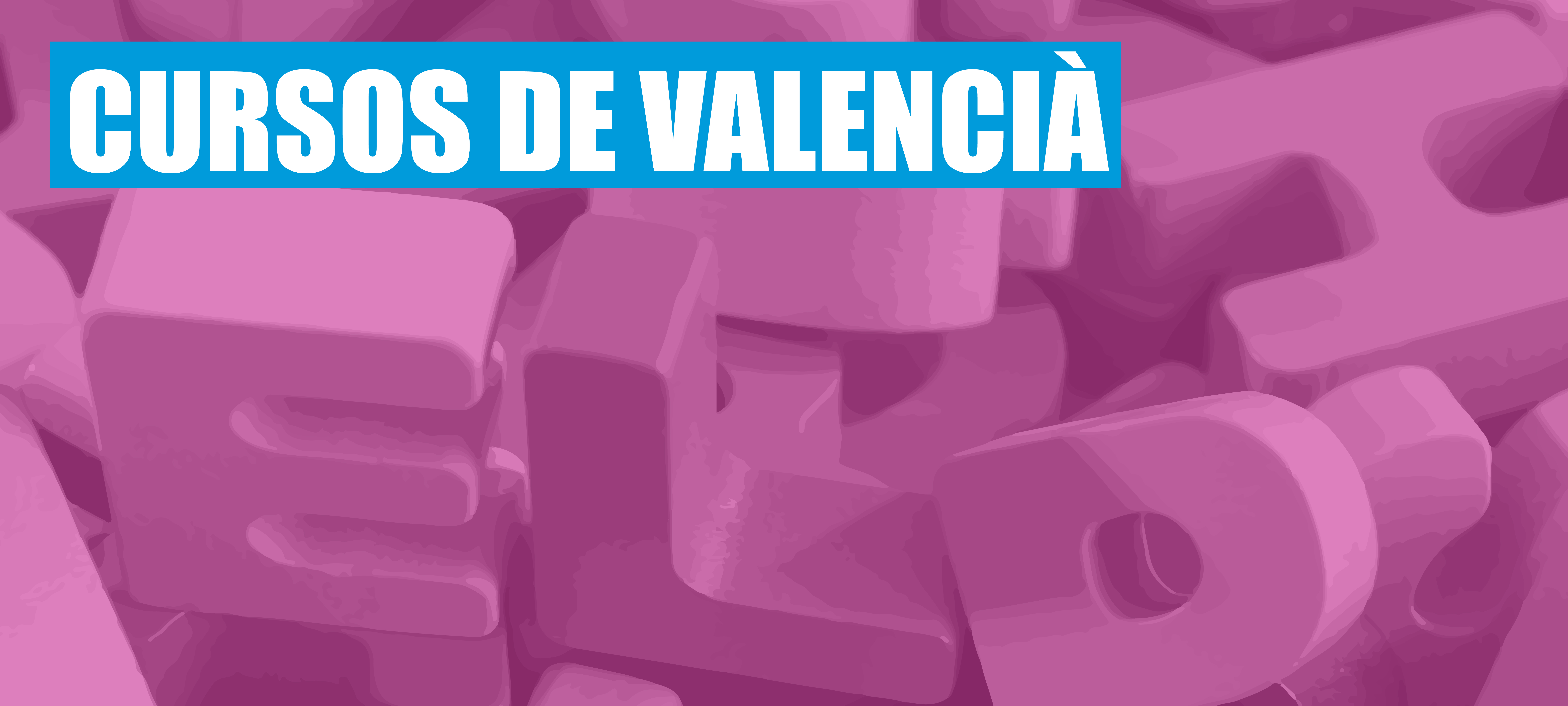 Bner_Cursos de valencià