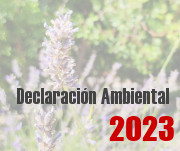 Declaracin Ambiental UPV 2023